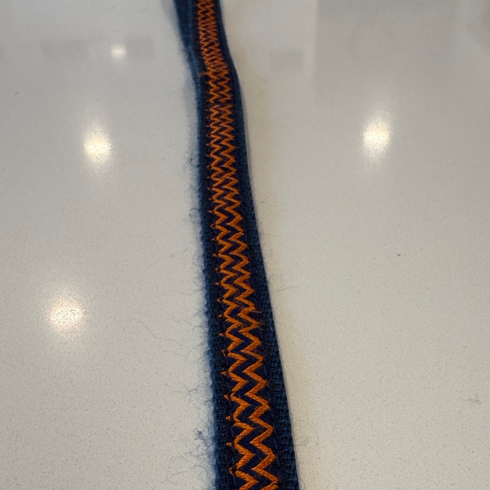 Stylish Orange and Blue Dog Leash